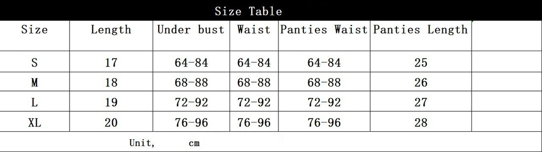See-Through Mesh Underwear Set – Steel Ring & Elegant Craftsmanship (4 Pieces)